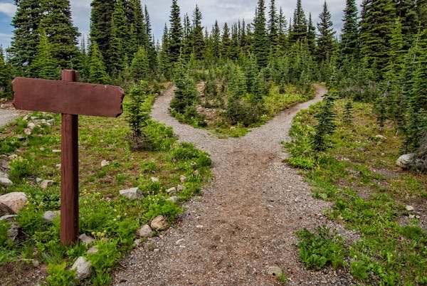 Découvrez l'aventure du trail des 7 hameaux près de paris